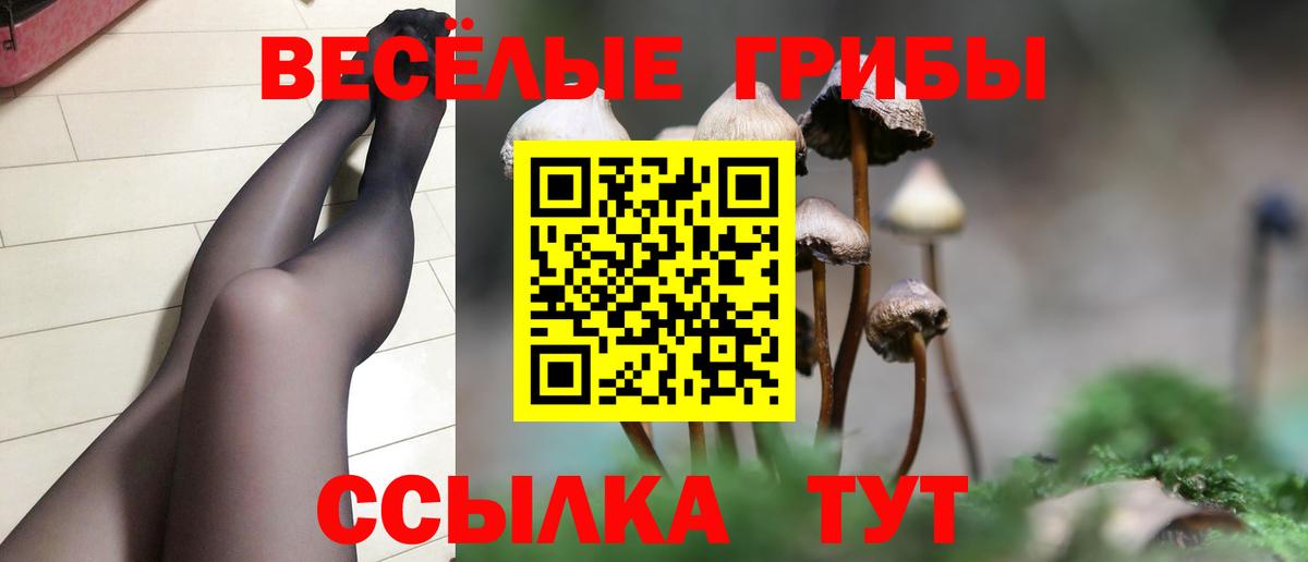 Псилоцибиновые грибы мицелий  Вход с VPN  Егорьевск 